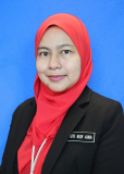 Siti Nur Aina Binti Norsaripuddin